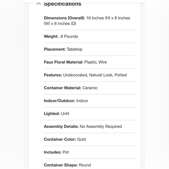 Faux Cypress Tree in Brass Pot - Hearth & Hand with Magnolia 16” LAST ONE - Picture 5 of 6